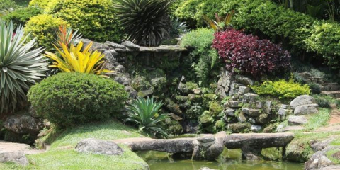 Alpský kopec s jehličnany - jak stavět vlastníma rukama v zemi